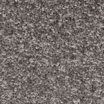 Teppichboden Equator